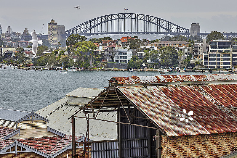 澳大利亚悉尼海港大桥和鹦鹉岛上的废弃建筑物图片素材