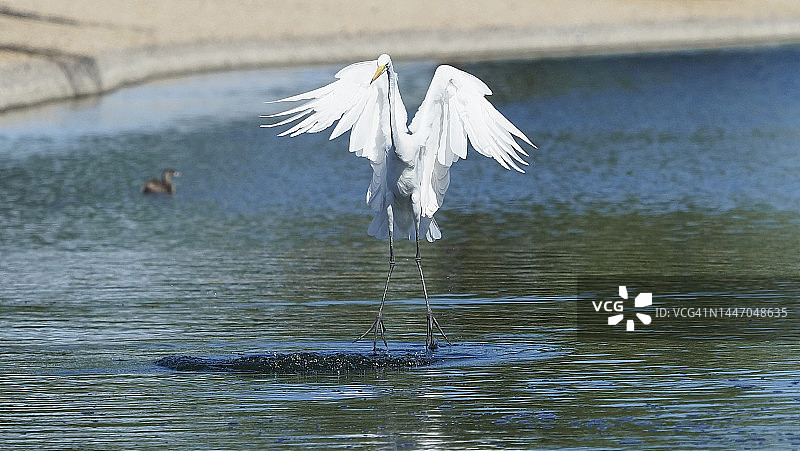 水上行走图片素材