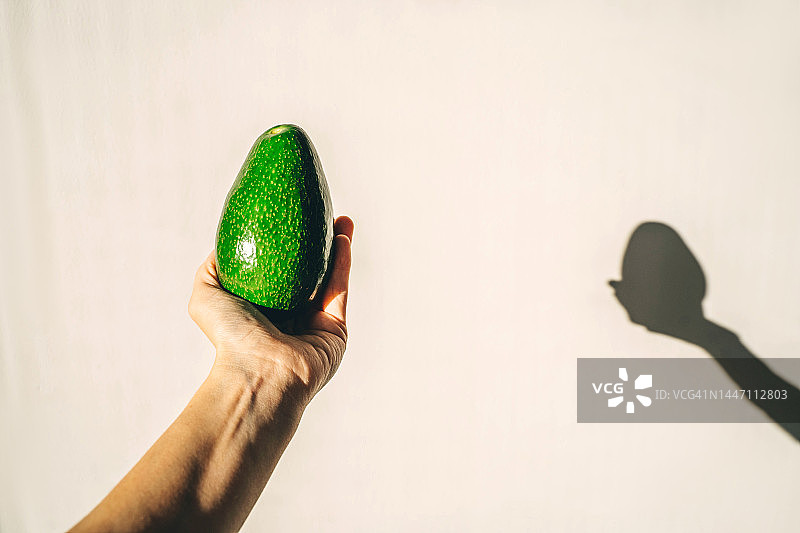 阳光明媚的日子，手中拿着绿色鳄梨，在浅色背景下有阴影图片素材