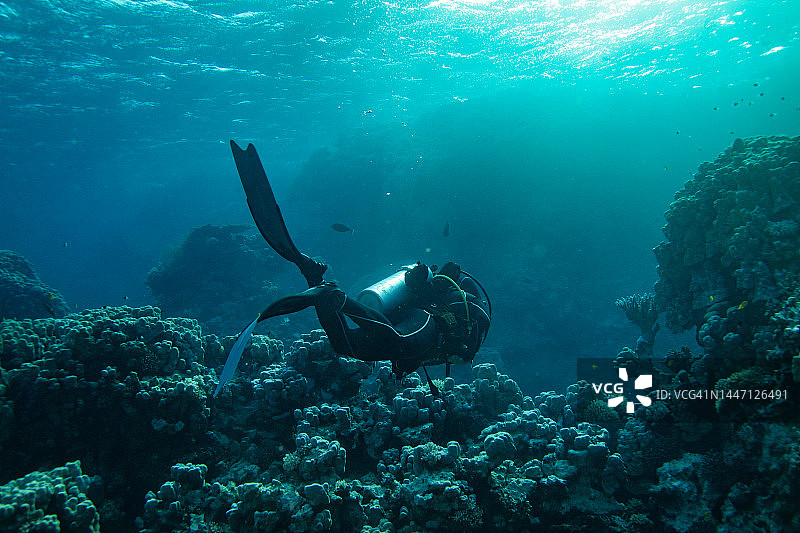 戴水肺的潜水员图片素材