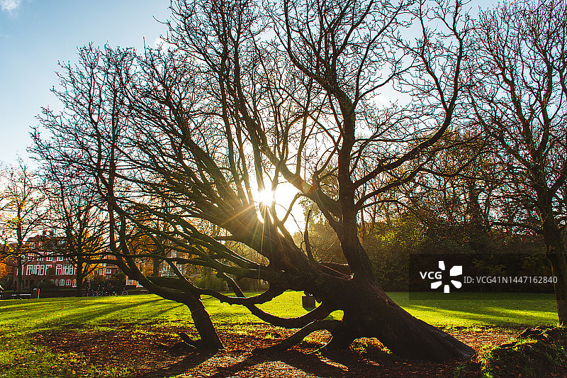 秋季的冯德尔公园图片素材
