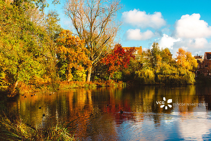 秋季的冯德尔公园图片素材