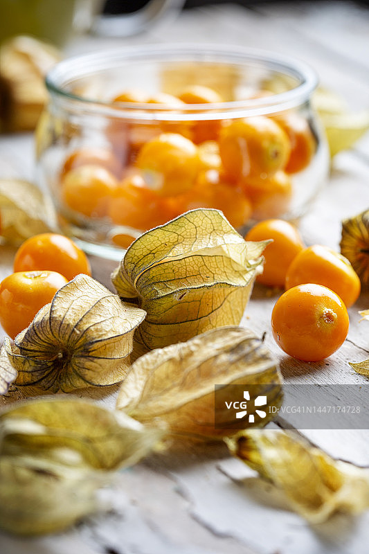 冬季樱桃 - 醋栗图片素材