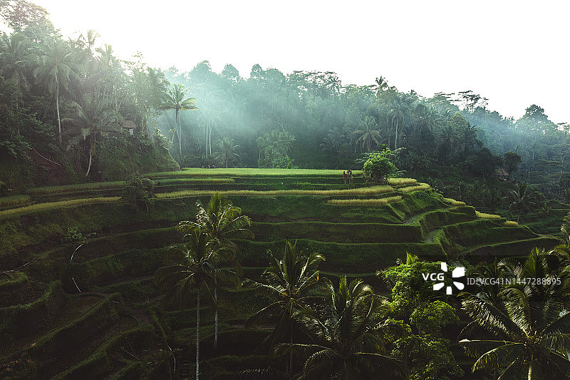 德格拉朗梯田日出图片素材