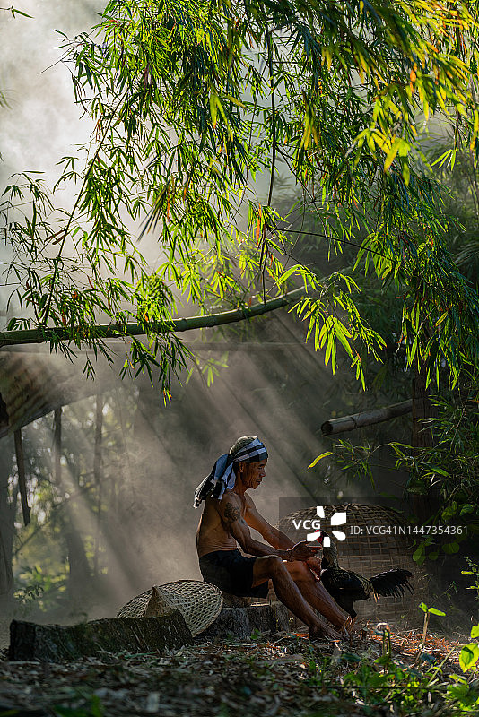 亚洲乡村生活：斗鸡训练师在泰国沙功那空东北部的森林里饲养和训练他的公鸡，依善人的生活方式图片素材
