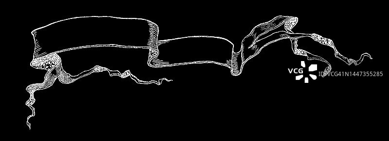 装饰彩带旧版画插图图片素材