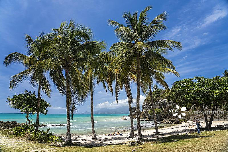 戈西耶附近的维奈格里湾，瓜德罗普岛，法国图片素材