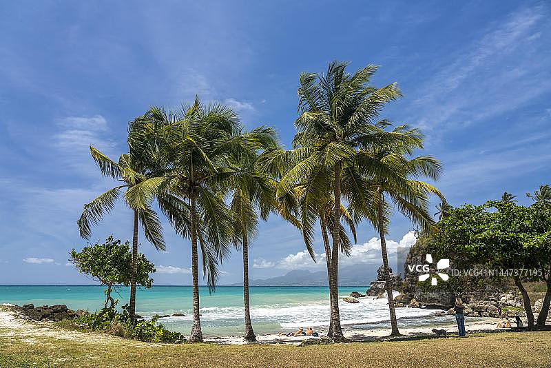 戈西耶附近的维奈格里湾，瓜德罗普岛，法国图片素材