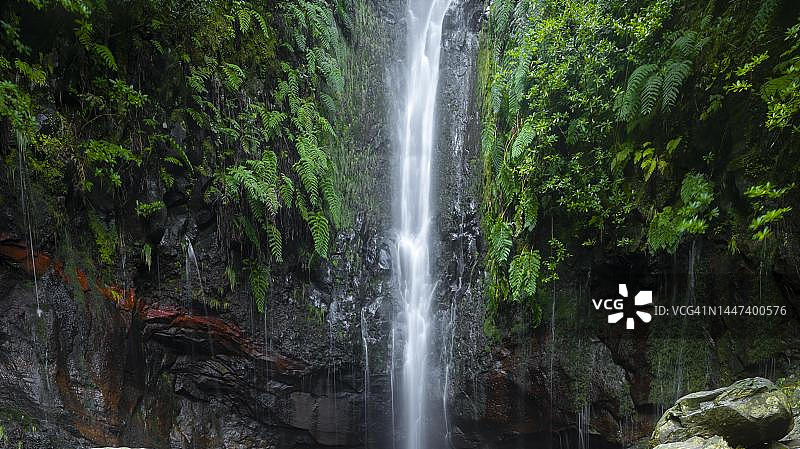 岩石表面覆盖着蕨类植物的瀑布，丰特斯瀑布，25丰特斯徒步小径PR6，拉巴萨尔，马德拉，葡萄牙图片素材
