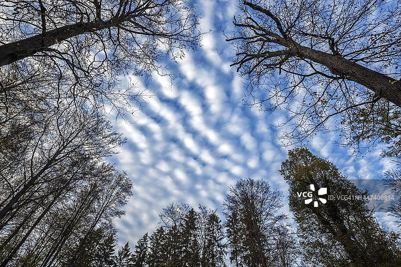 莱茵哈德森林公园的卷积云，德国黑森州图片素材