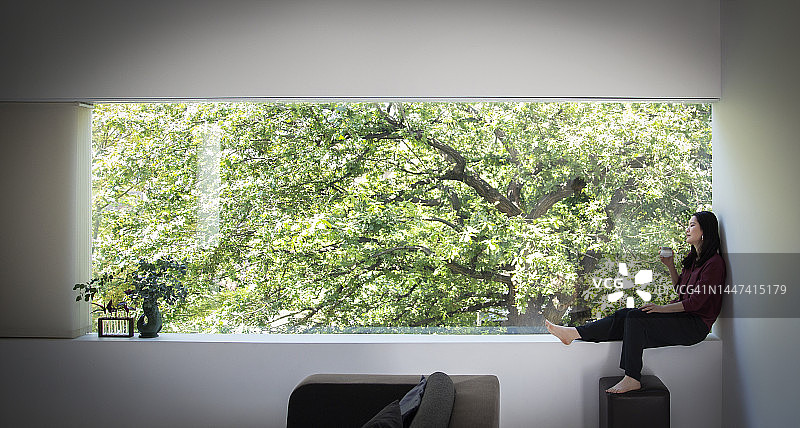 年轻女人在窗边喝茶，欣赏树景图片素材