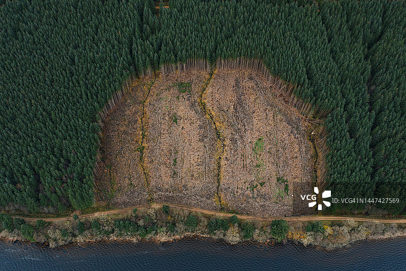 森林砍伐区的航拍抽象图图片素材