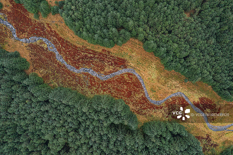 苏格兰高地林地和溪流的无人机视角图片素材