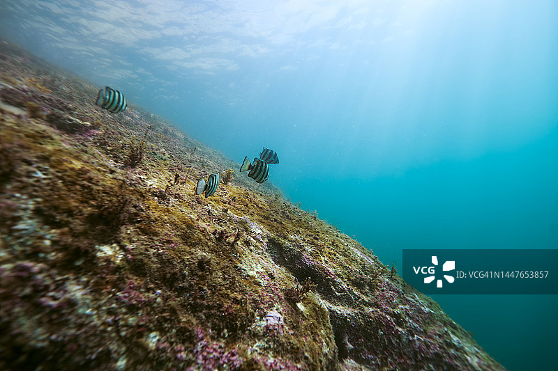 江原道三陟市图片素材
