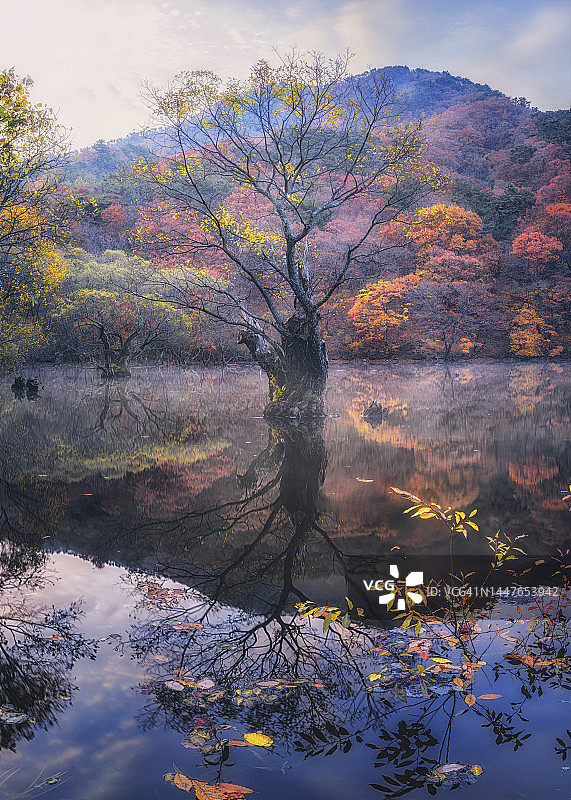 注山地的秋天图片素材