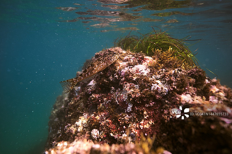 江原道三陟市图片素材
