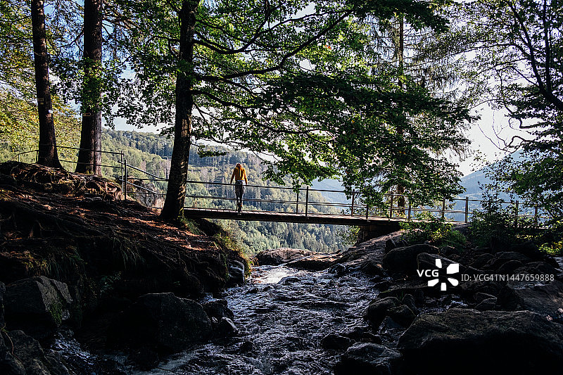 红发女子站在森林的步行桥上图片素材