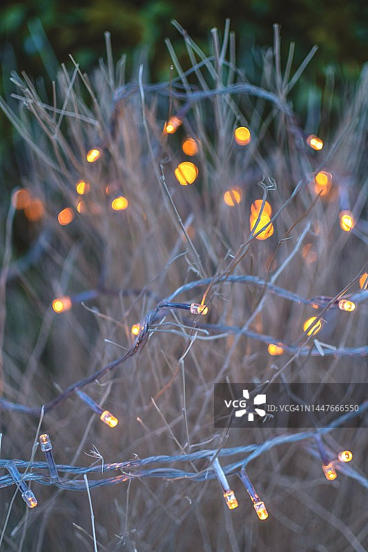 夜晚圣诞灯的虚化图像图片素材