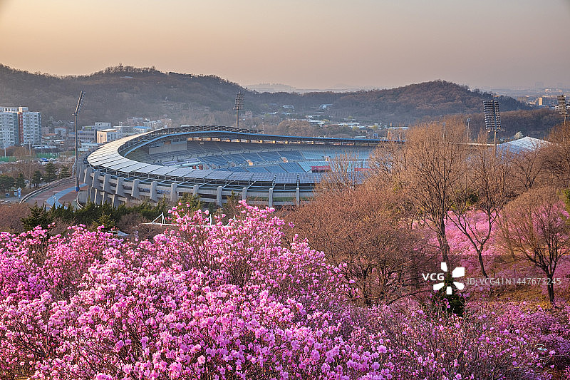 京畿道富川市元美山杜鹃花图片素材