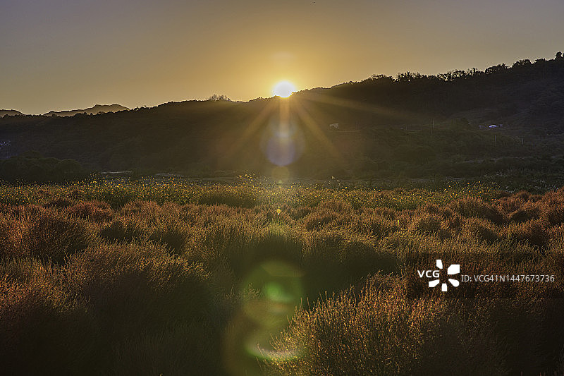 京畿道涟川郡Dapssari公园日出图片素材