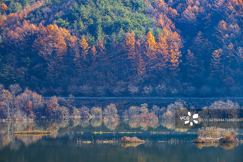 龙潭湖图片素材