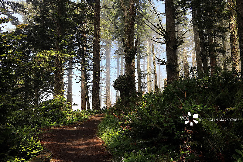俄勒冈州佩佩图阿角太平洋海岸的薄雾图片素材