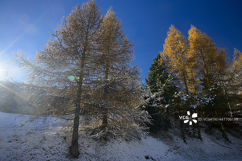 法国东比利牛斯山脉风光图片素材