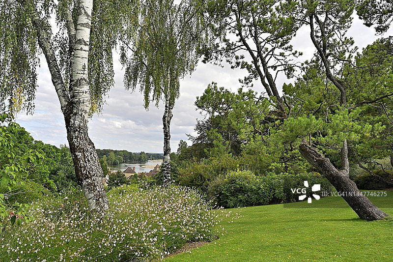 俯瞰阿利埃河的大树与草坪图片素材