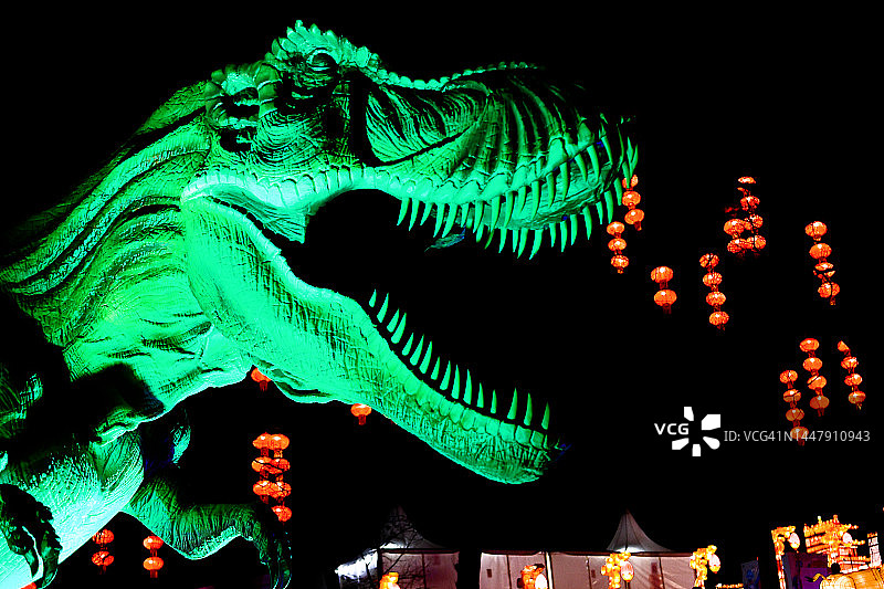 霸王龙头部的特写图片素材