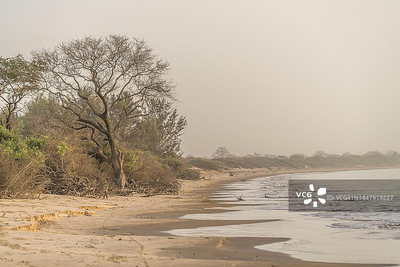 西非冈比亚吉纳克岛上的沙滩图片素材