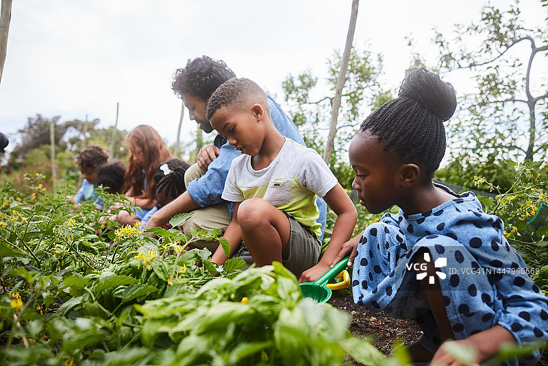 学生和老师在社区花园里实地考察图片素材