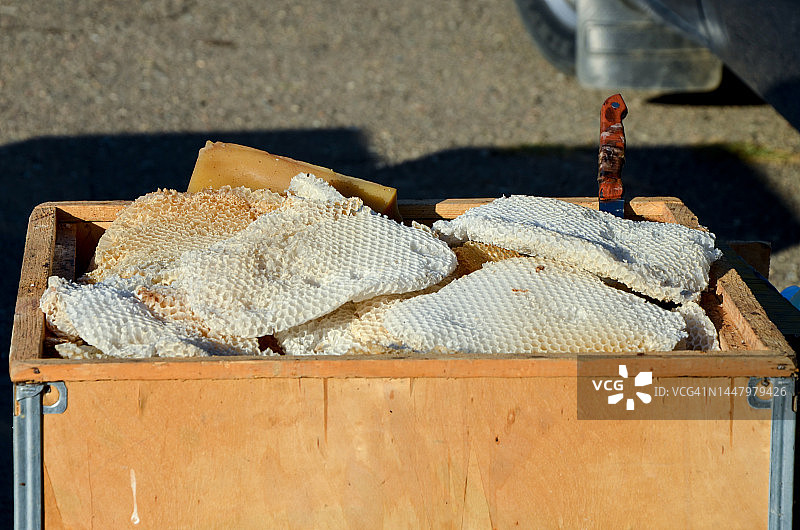 盒子里的蜂窝图片素材