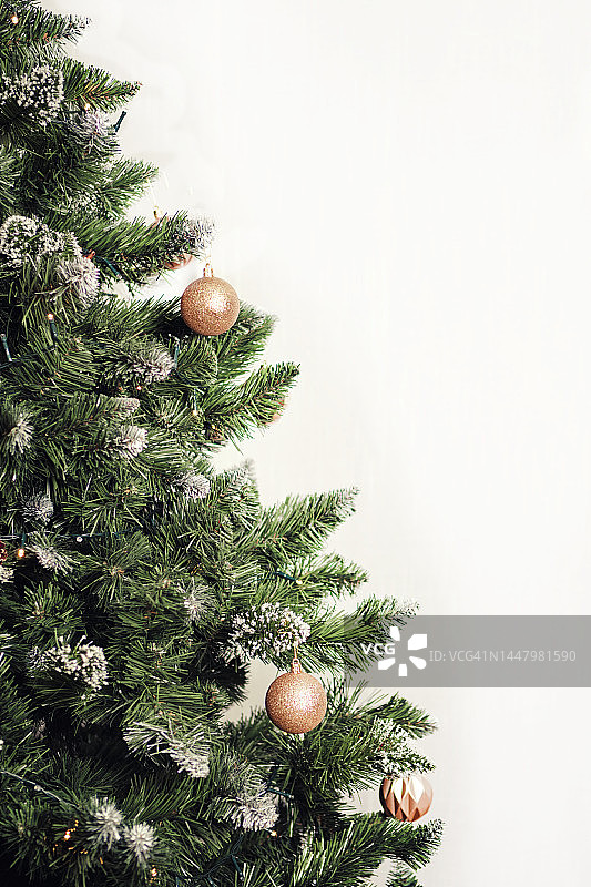 圣诞树枝圣诞节日背景图片素材