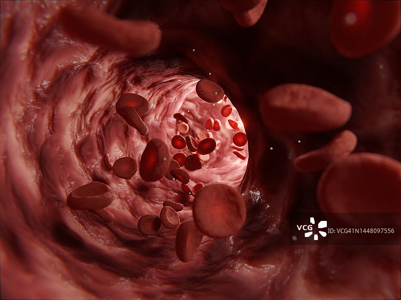 静脉中的红细胞图片素材