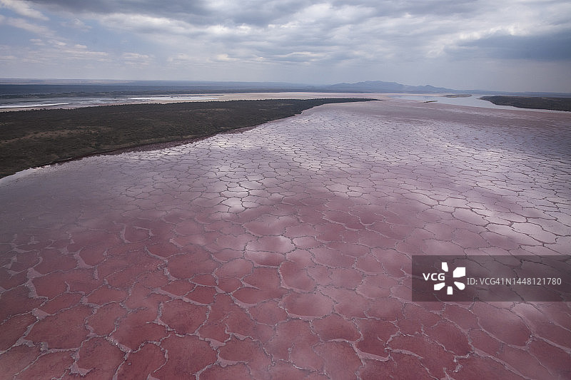 肯尼亚马加迪湖粉色航拍壮丽景色图片素材