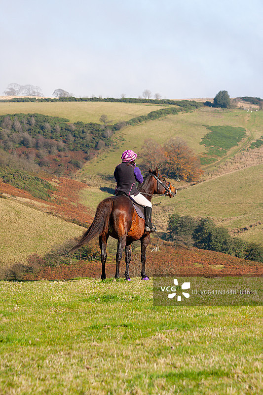 海湾马和骑手在英国乡村骑行图片素材