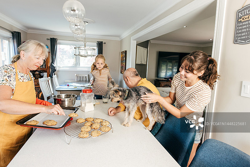 祖母为家人烘烤饼干图片素材