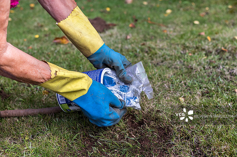 老年女性下毒药杀死鼹鼠图片素材