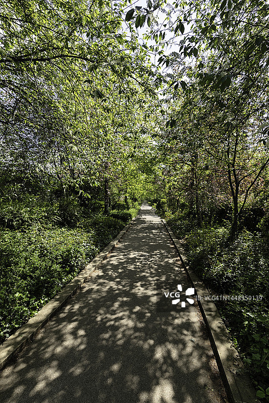 位于法国巴黎市中心的绿色长廊或绿植步行道图片素材
