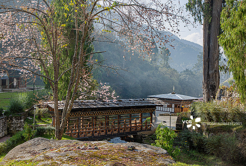 通往古老寺院的步行桥图片素材