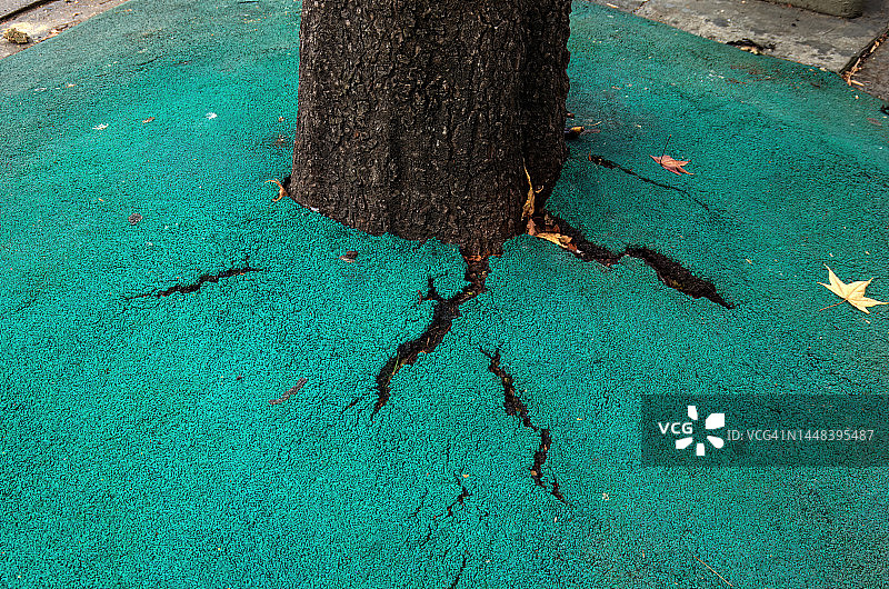 树木周围透水多孔湿浇颗粒橡胶地面图片素材