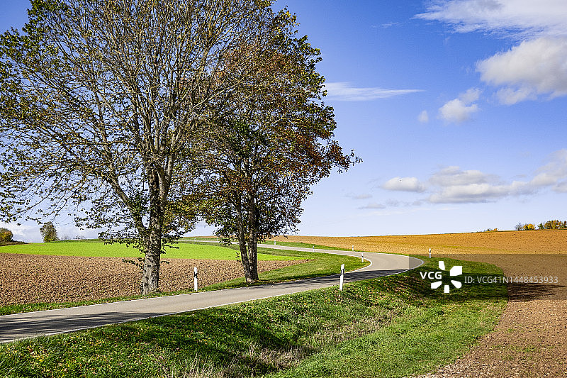 穿过农田的弯曲乡村道路图片素材
