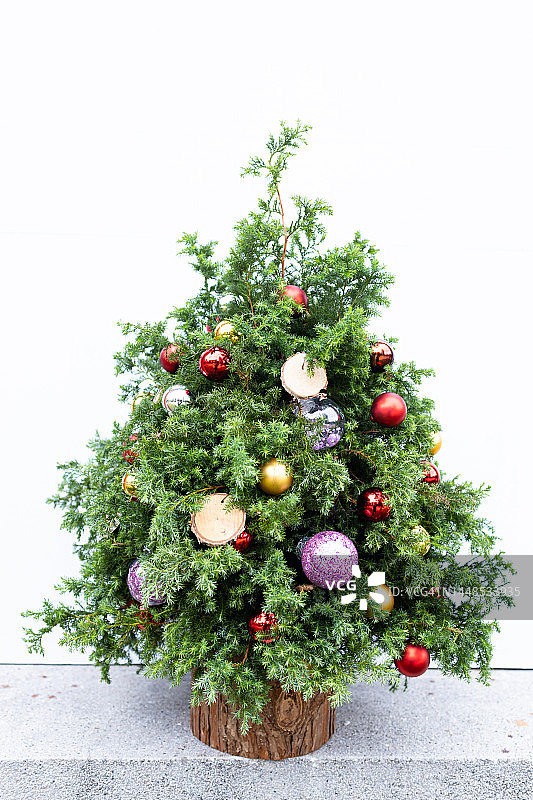 白色背景下的圣诞树图片素材