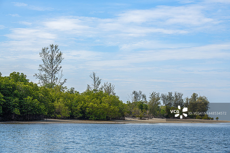 泰国董里府班南拉布泻湖的红树林图片素材