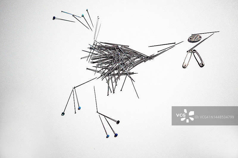 白色背景上的行走鸟类构图图片素材