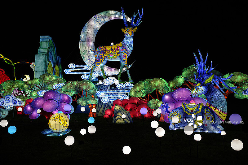 两只大鹿在自然环境中图片素材