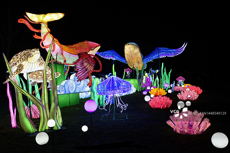 灯光照亮下的鲸鱼和海龟图片素材