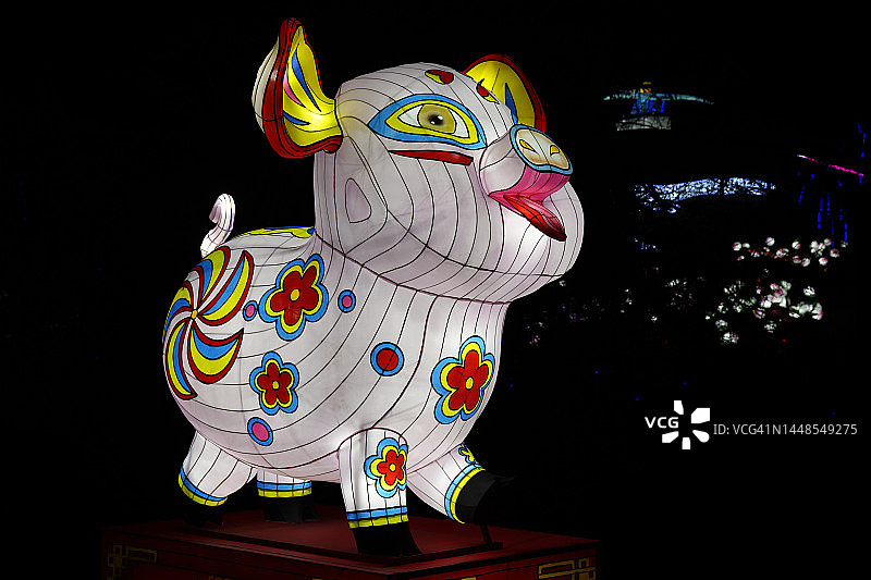 猪，中国十二生肖之一图片素材