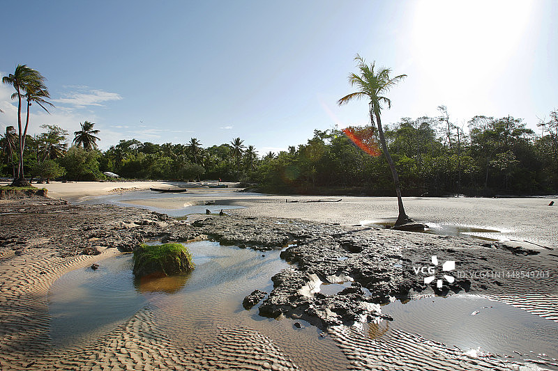 马拉若岛亚马逊巴西图片素材