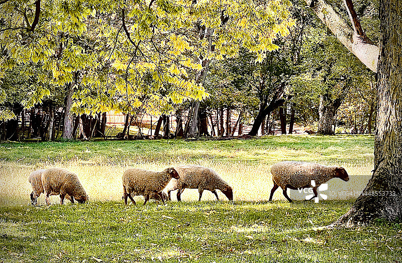 追随领导者图片素材
